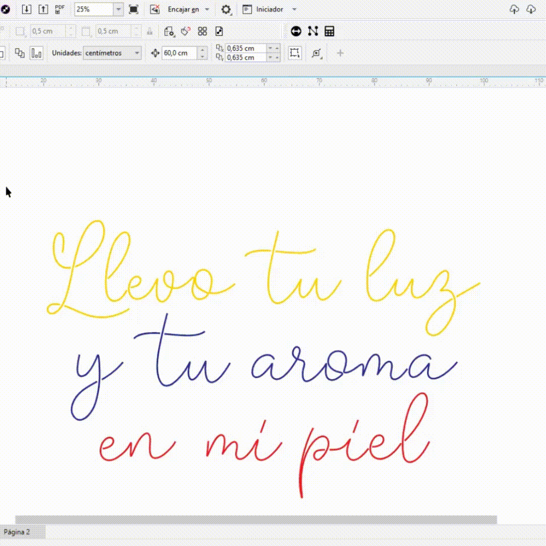 Accion Neonizar